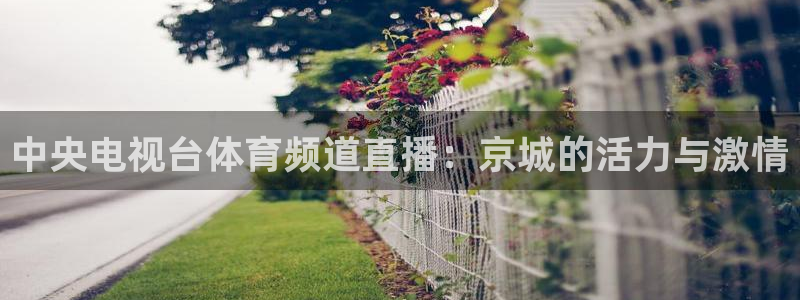 咪咕免费体育直播：中央电视台体育频道直播：京城的活力与激情