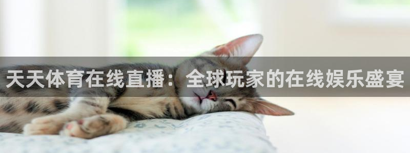 咪咕视频体育在线直播