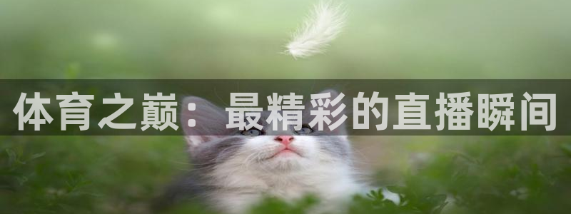 免费看咪咕直播：体育之巅：最精彩的直播瞬间