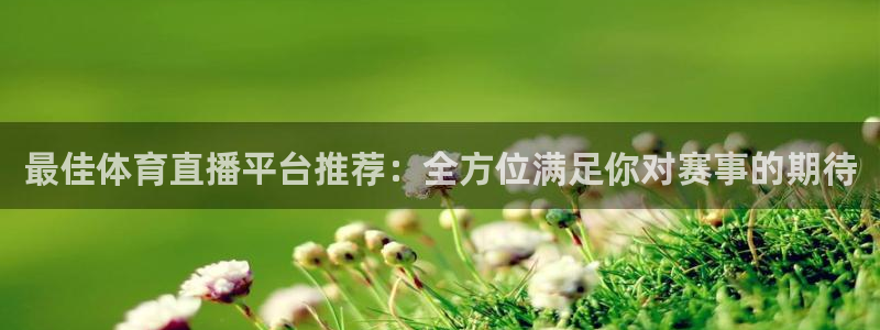 下载咪咕视频：最佳体育直播平台推荐：全方位满足你对赛事的期待
