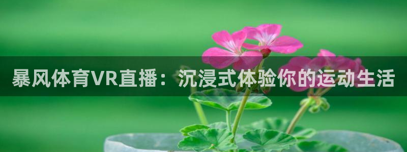 咪咕体育免费高清直播入口：暴风体育VR直播：沉浸式体验你的运动生活