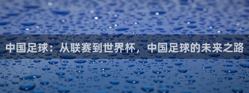 下载咪咕视频体育频道直播：中国足球：从联赛到世界杯，中国足球的未来之路
