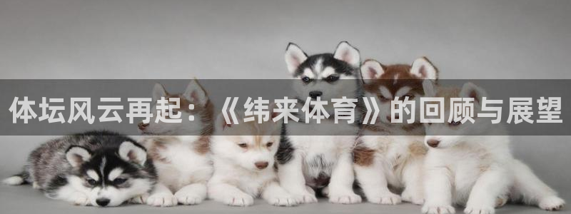 咪咕体育：体坛风云再起：《纬来体育》的回顾与展望